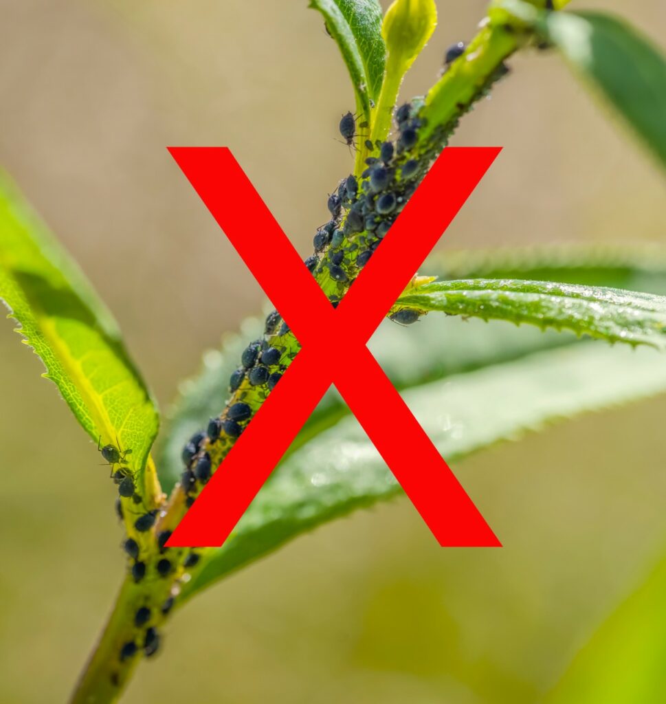 Adjuvants for Control of Insects