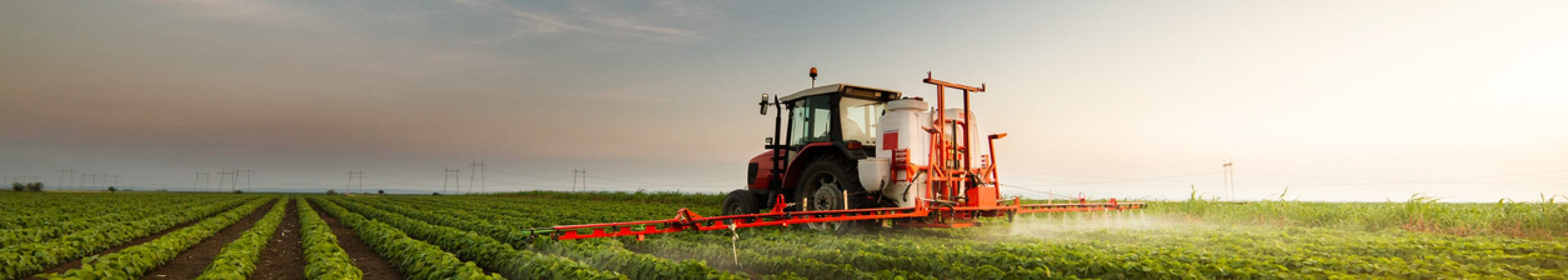 Tractor spraying a field of soybean Tractor spraying a field of soybean